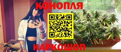 СК Канаш