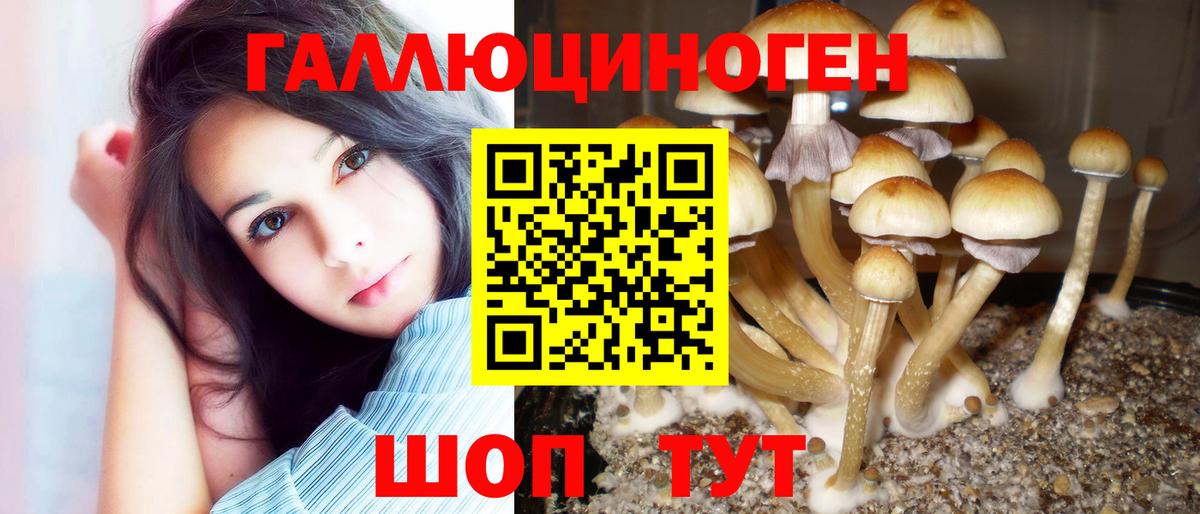 Галлюциногенные грибы GOLDEN TEACHER Крымск